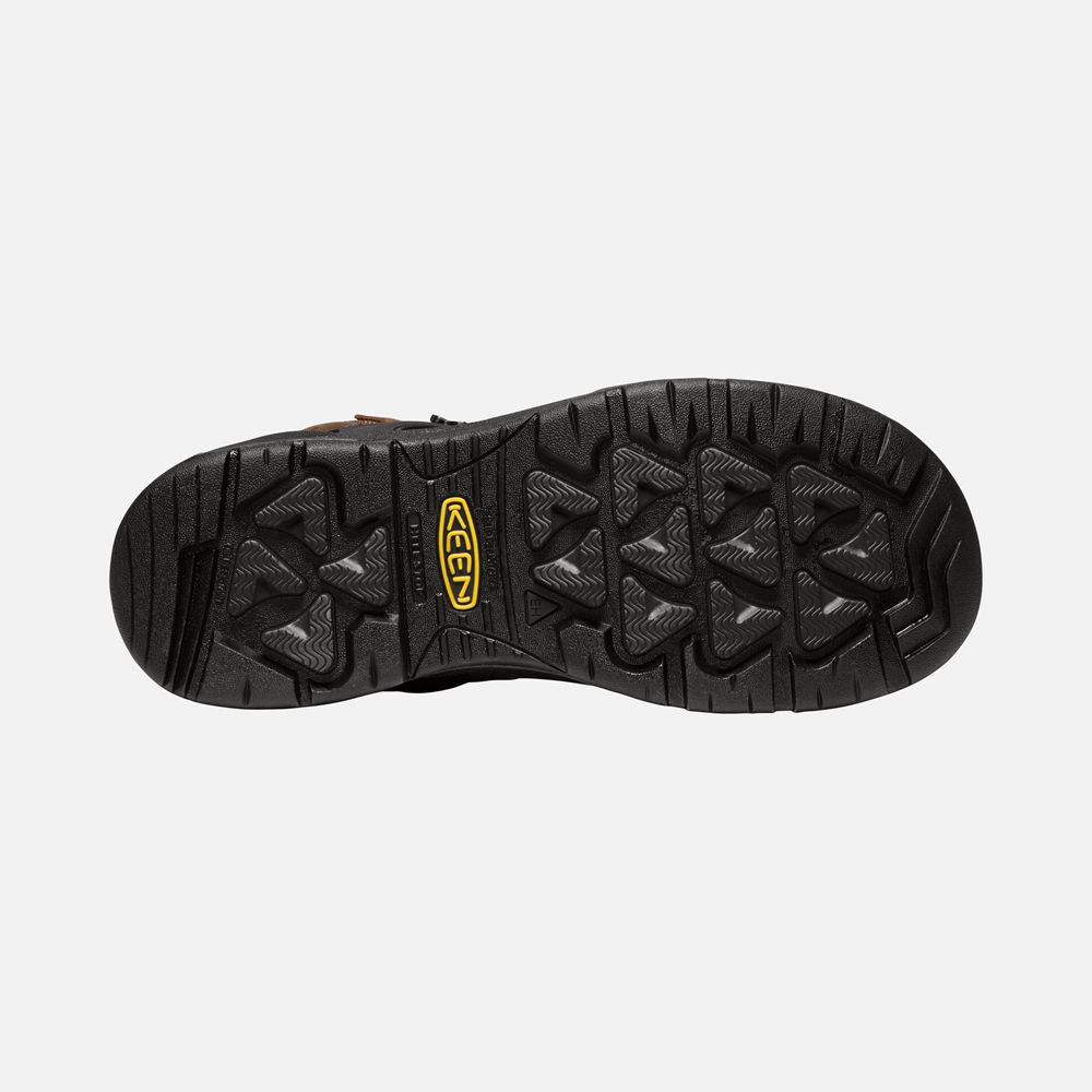 Keen Laarzen Heren Bruin - Dover 6\" Wp (Carbon-Fiber Toe) - 40267-DUNY